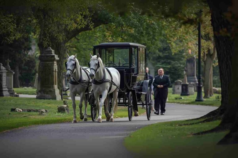 White Horses With Horse to Carry Casket in Albany Ny